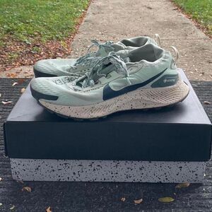 Nike Pegasus gore Tex trainers